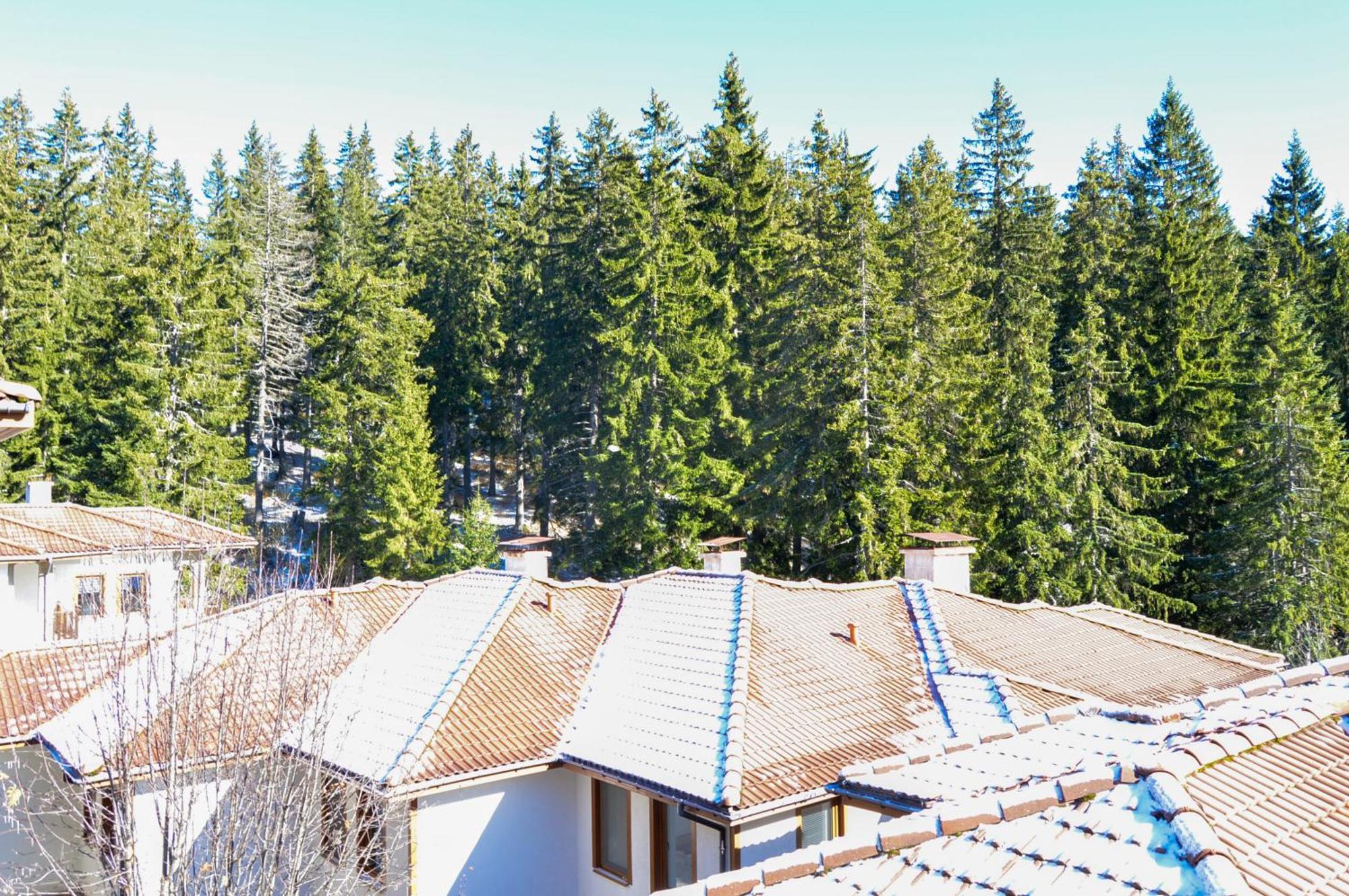 MyPlace_Pamporovo Exterior foto