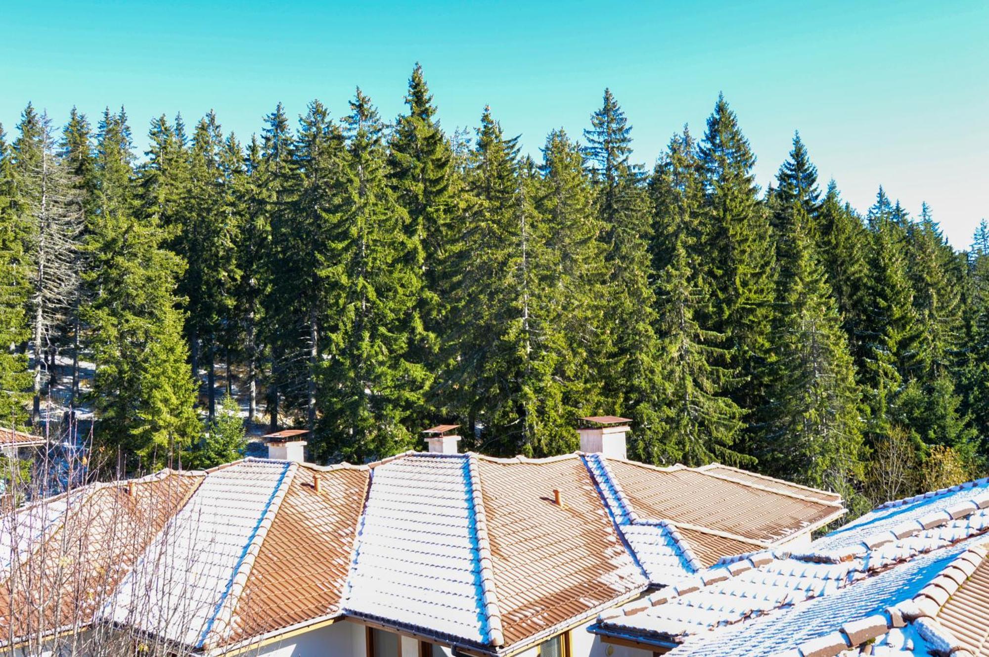 MyPlace_Pamporovo Exterior foto